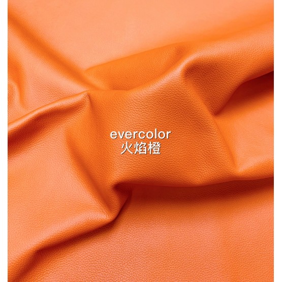 Evercolor Roulis(Color Card)