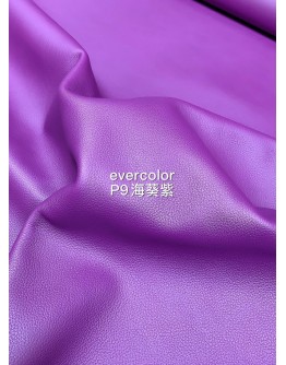 Evercolor Roulis(Color Card)