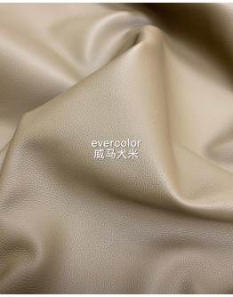 Evercolor Roulis(Color Card)