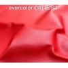 Evercolor Roulis(Color Card)