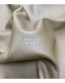 Evercolor Roulis(Color Card)