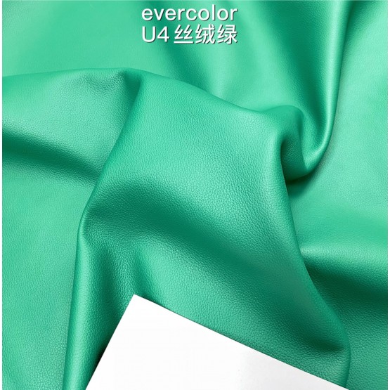 Evercolor Roulis(Color Card)