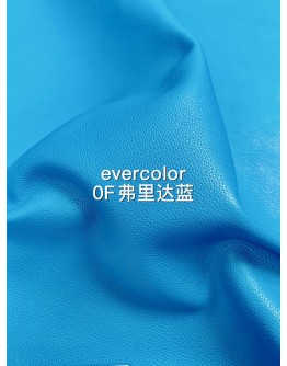 Evercolor Roulis(Color Card)