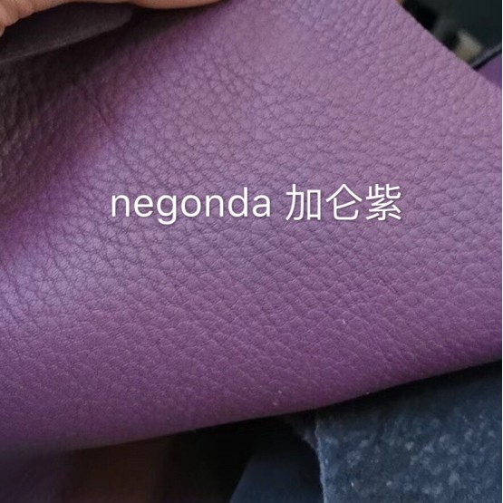 Negongda GardenPaty(Color Card))