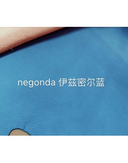 Negongda GardenPaty(Color Card))