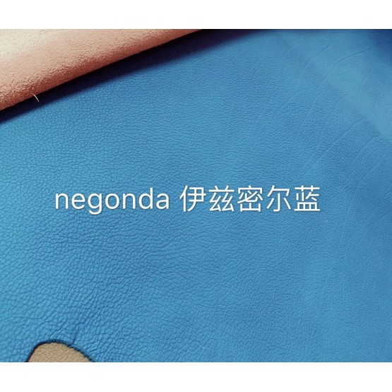 Negongda GardenPaty(Color Card))