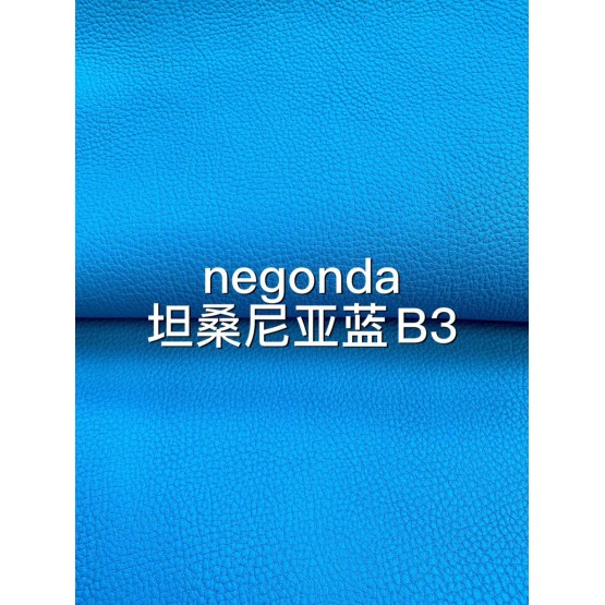 Negongda GardenPaty(Color Card))