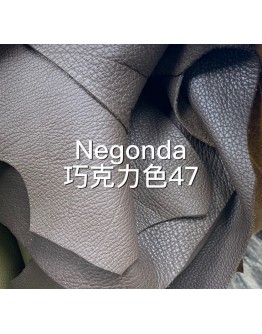 Negongda GardenPaty(Color Card))