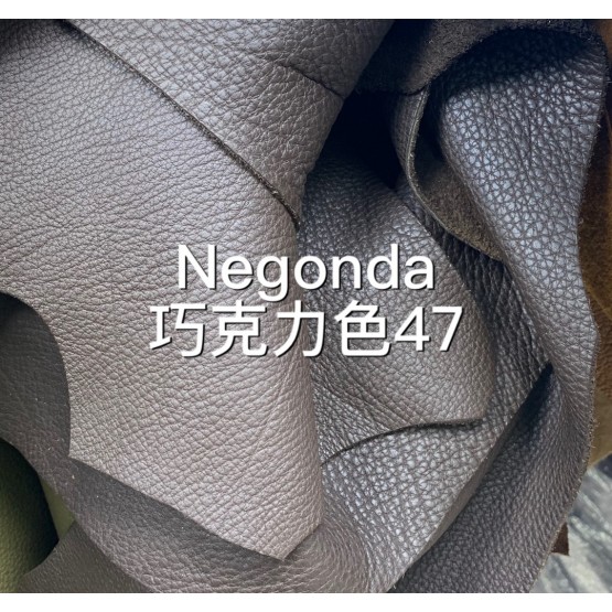 Negongda GardenPaty(Color Card))