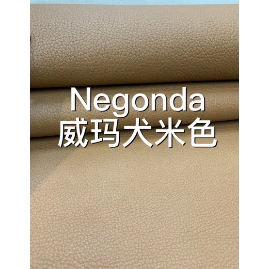 Negongda GardenPaty(Color Card))