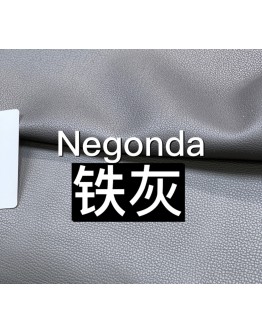 Negongda GardenPaty(Color Card))