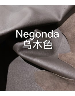 Negongda GardenPaty(Color Card))