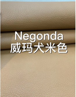 Negongda GardenPaty(Color Card))