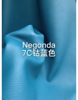 Negongda GardenPaty(Color Card))