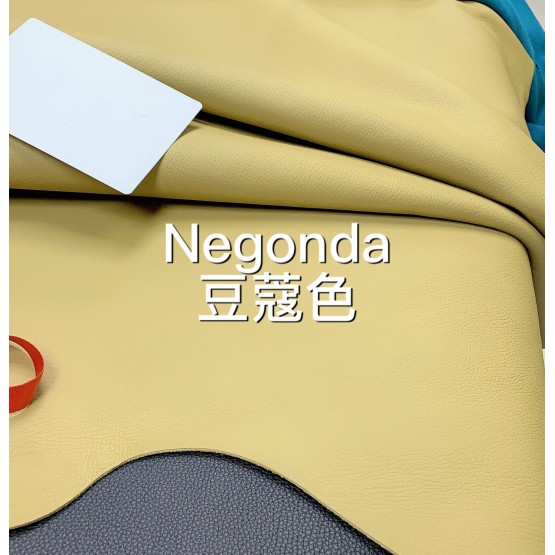 Negongda GardenPaty(Color Card))