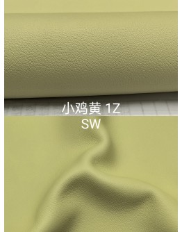 Swift leather (Color Card)