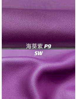 Swift leather (Color Card)