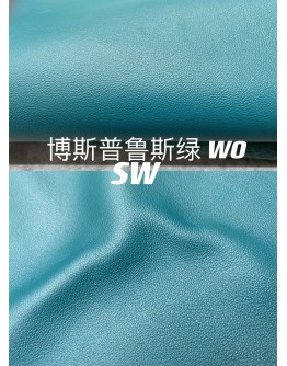 Swift leather (Color Card)
