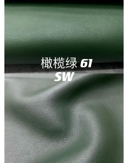 Swift leather (Color Card)