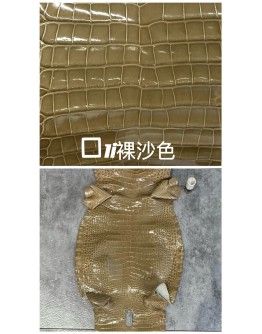 Crocodile Alligator Lisse(Color Card)