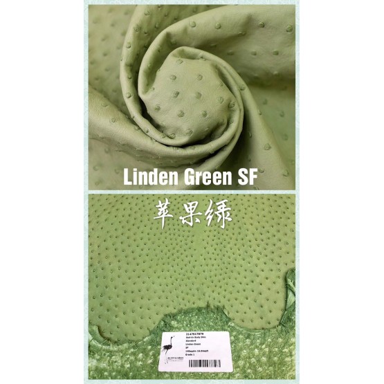 South African ostrich Skin(Color Card)