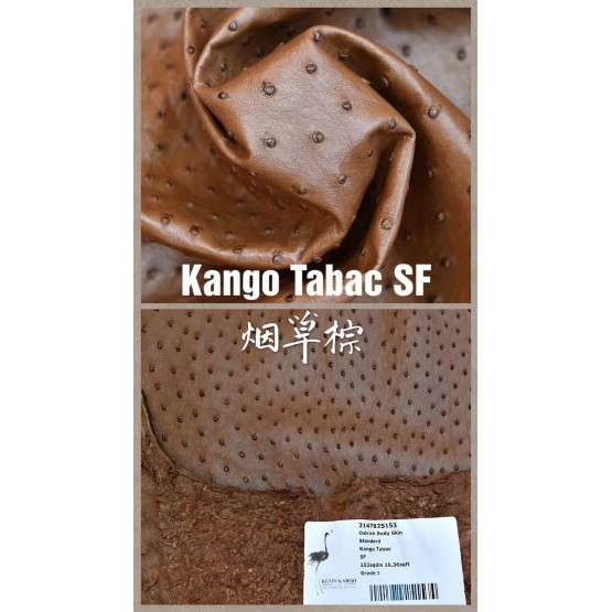 South African ostrich Skin(Color Card)