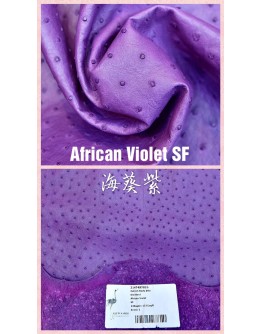 South African ostrich Skin(Color Card)