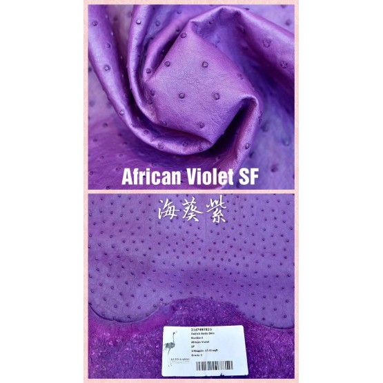 South African ostrich Skin(Color Card)