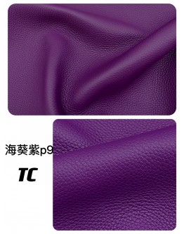 Big Bull TC Leather(Color Card)