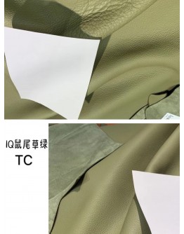 Big Bull TC Leather(Color Card)