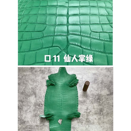 Crocodile Alligator Matte(Color Card)