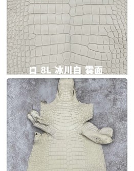 Crocodile Alligator Matte(Color Card)