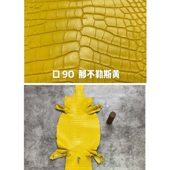 Crocodile Niloticus Matte(Color Card)