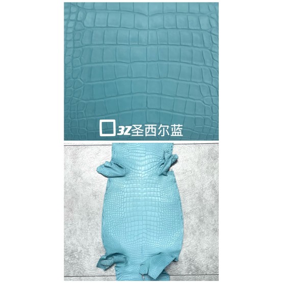 Crocodile Alligator Matte(Color Card)