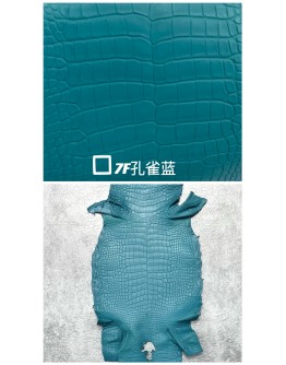 Crocodile Alligator Matte(Color Card)