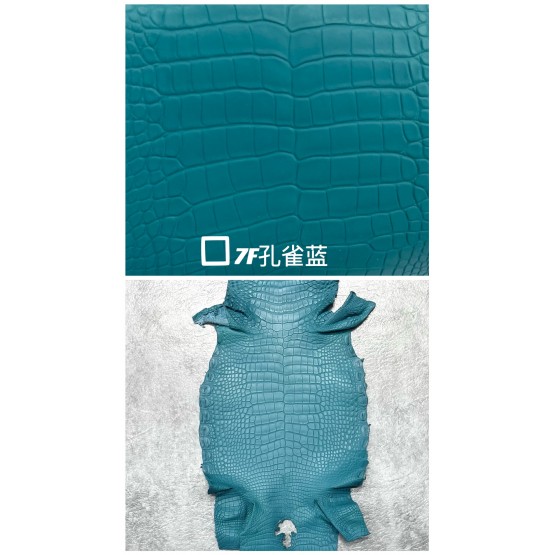 Crocodile Alligator Matte(Color Card)