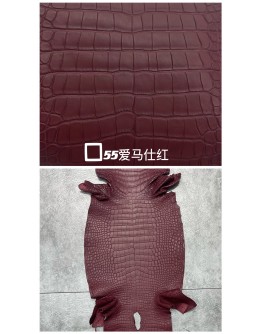 Crocodile Alligator Matte(Color Card)