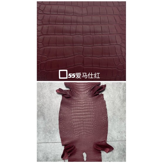 Crocodile Alligator Matte(Color Card)