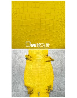 Crocodile Alligator Matte(Color Card)