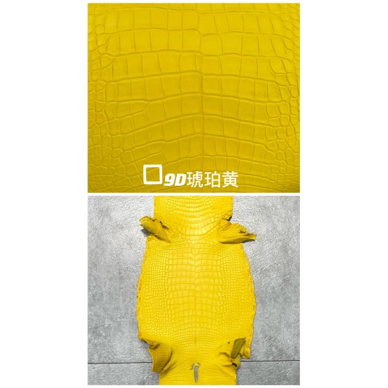 Crocodile Alligator Matte(Color Card)