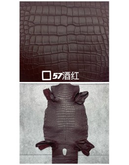 Crocodile Alligator Matte(Color Card)