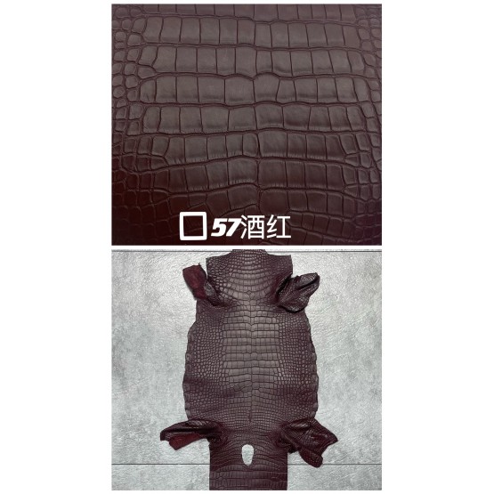 Crocodile Alligator Matte(Color Card)