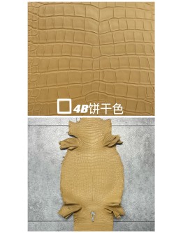 Crocodile Niloticus Matte(Color Card)