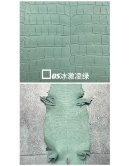 Crocodile Niloticus Matte(Color Card)