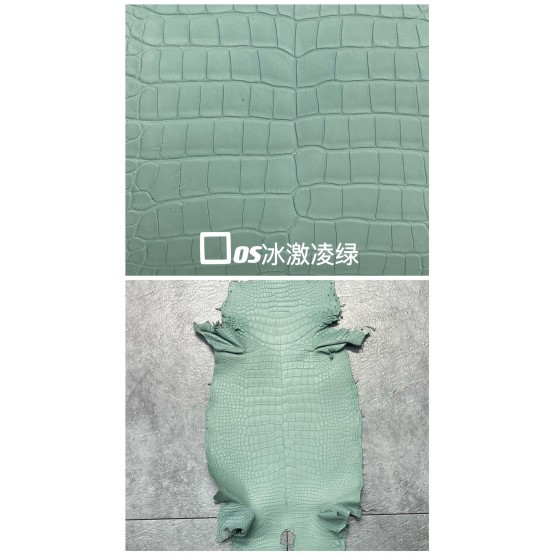 Crocodile Niloticus Matte(Color Card)