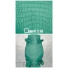 Crocodile Alligator Matte(Color Card)