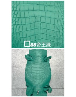 Crocodile Niloticus Matte(Color Card)