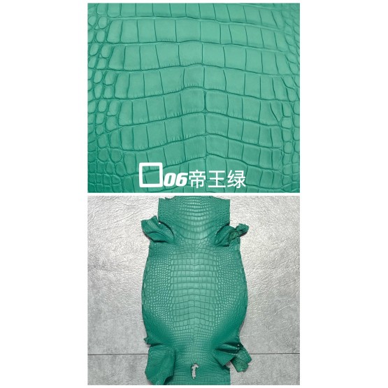 Crocodile Niloticus Matte(Color Card)