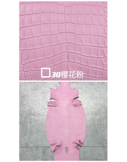 Crocodile Alligator Matte(Color Card)