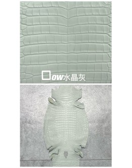 Crocodile Alligator Matte(Color Card)